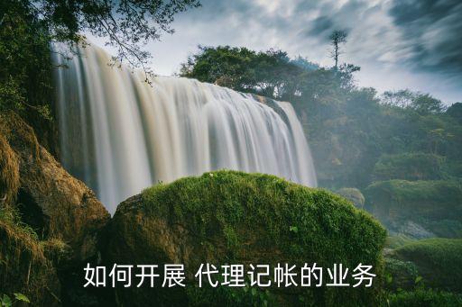 农业局代理记账怎么做
