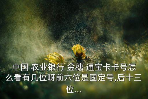 农业银行金穗通宝怎么查