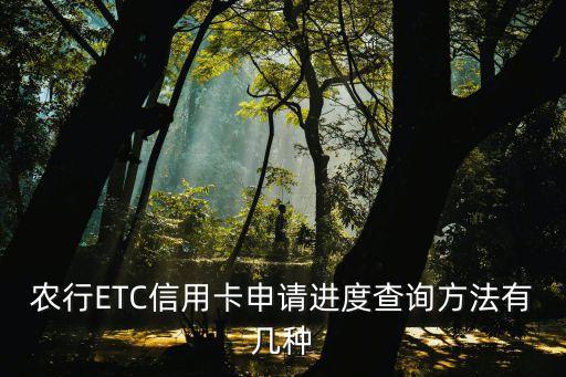 农业银行怎么查etc记账