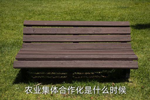 农业公社什么时候开始的,新型农业合作改造在中国农村悄然兴起
