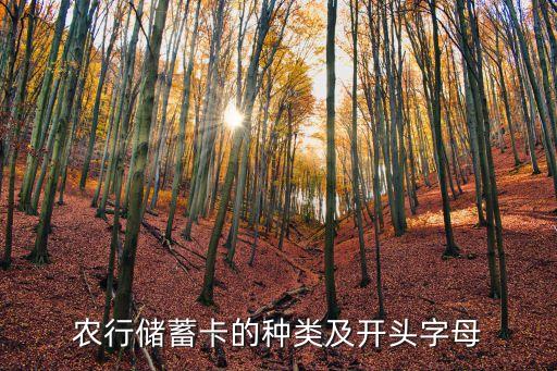 农业银行白色是什么卡颜色