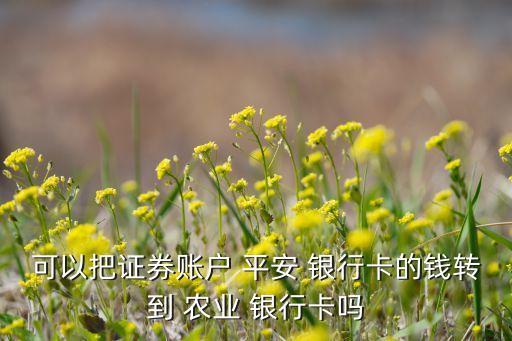 平安银行转农业怎么转的,工商银行转平安银行怎么转