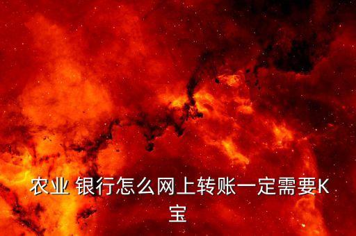 农业个人银行网银怎么用