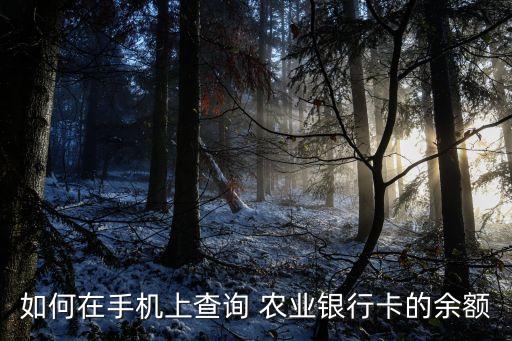 农业app怎么查看账户信息,怎么查看农业名下存折账户