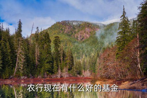 农业银行传世之宝怎么样