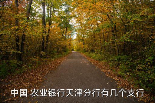 和平大街农业银行怎么走,秦皇岛农业银行和平大街支行电话
