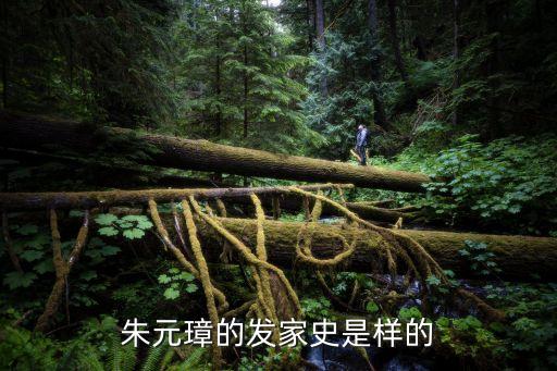 盐城盈盛农业公司怎么样,盐城农业公司有哪些