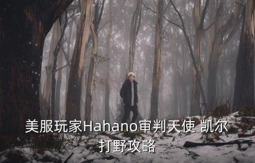 凯尔农业装备怎么样,徐州凯尔农业装备股份有限公司电话
