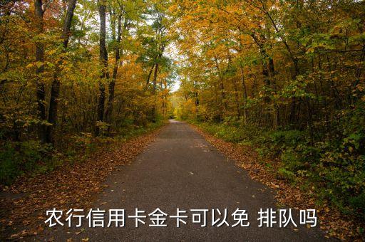 农业银行贵宾怎么排队