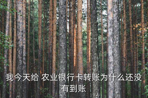 农业银行现金转出后怎么还