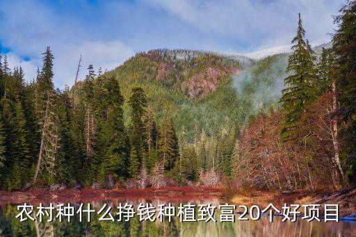 在村里做什么农业好,女生学农业可以做什么工作