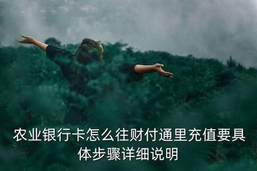 农业银行记账卡怎么充钱