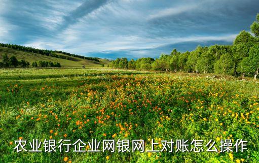 农业行行公户怎么对帐