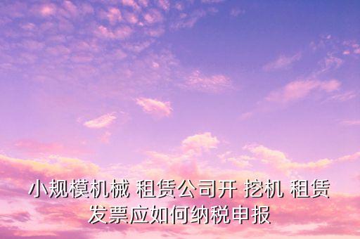 农业企业挖机租赁怎么交税