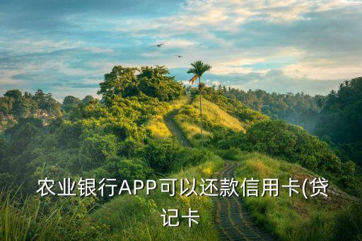 农业银行app怎么还贷款