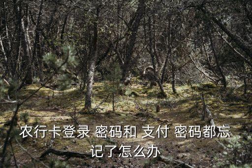 农业银行怎么找回支付密码,如何找回农业银行k宝密码