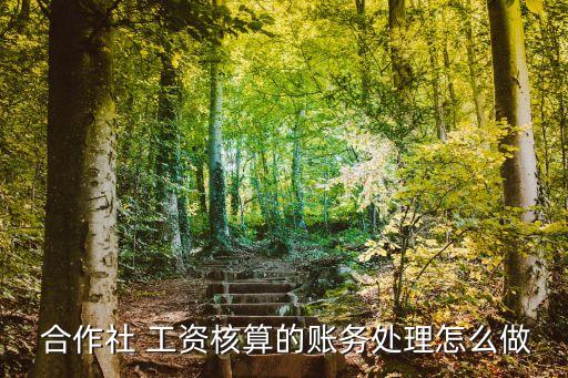 农业合作社工资是怎么分配,合作社的工资怎么做