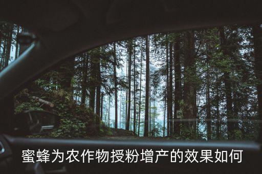 蜜蜂怎么发展好农业呢视频