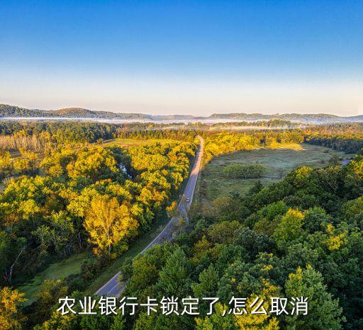 农业银行怎么解安全锁,交易安全锁 农业银行