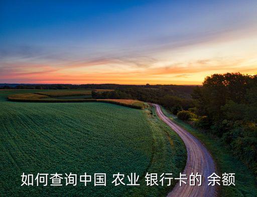 农业掌上银行怎么查余额,如何在农业掌上银行查卡号