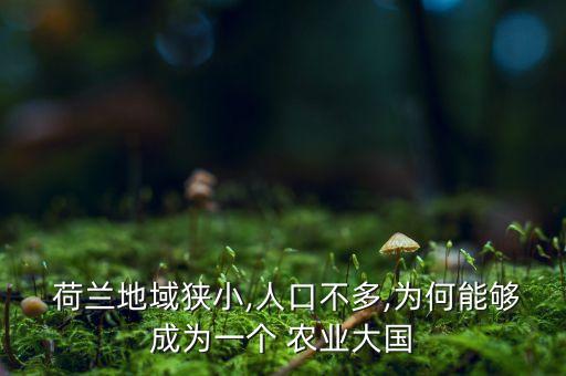 荷兰农业怎么做,荷兰高科技农业视频