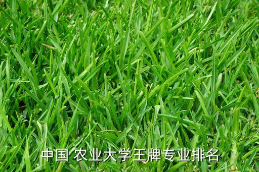 农业大学学农业怎么样,新疆农业农业大学