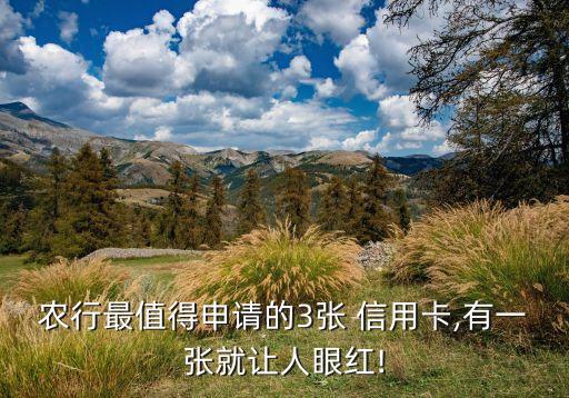 农业信用卡什么卡种额度高,办农业信用卡需要什么条件