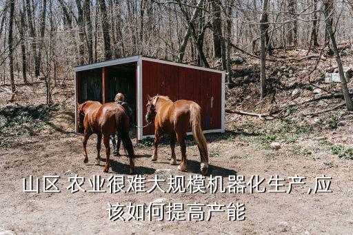 勉县农业发展怎么样
