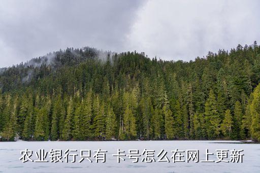 农业银行怎么升级卡号卡