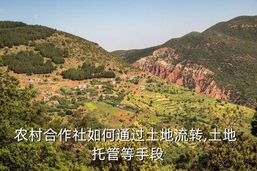 农业生产托管怎么跨区,全国农业生产托管十大模式