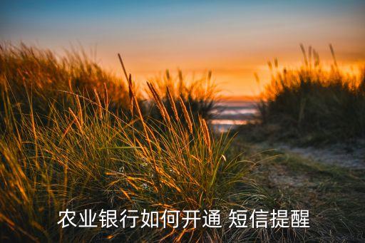 农业个人网银登录怎么短信