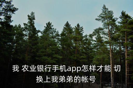 掌上农业银行怎么切换账号,农业银行app怎么切换账号登录