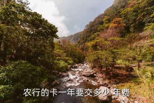 农业银行卡年费怎么交