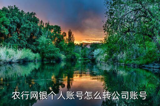 农业银行对公怎么操作
