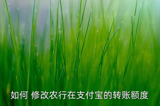 怎么修改农业银行的余额,手机农业银行余额修改截图生成器