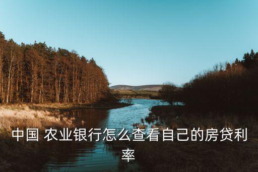 农业贷款怎么查