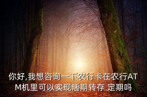 农业银行atm怎么存定期,为什么农业银行ATM存不了钱