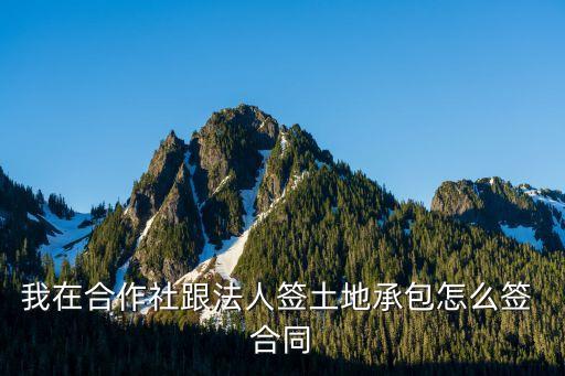 农业公司怎么签合同