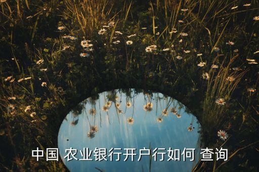 农业银行网点号怎么查询,南京农业银行网点查询