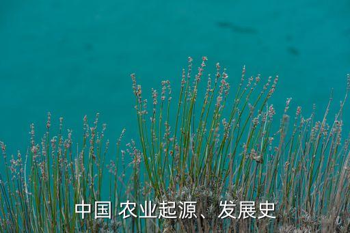 原始农业怎么产生的,我国原始农业产生的主要地区有