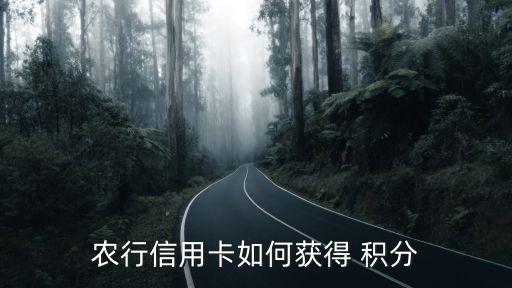 农业银行怎么积分的