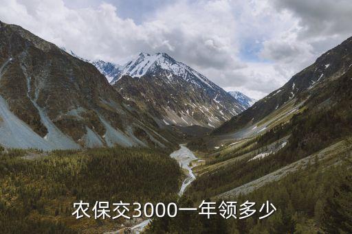 农业保险每年领钱怎么领