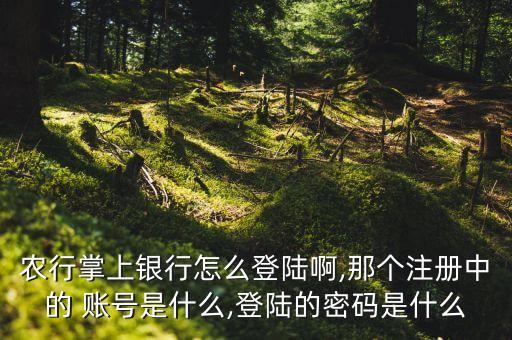 手机农业银行账号是什么,农业银行加挂账号是什么意思啊