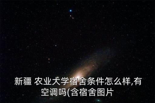 新疆农业大学怎么上课,到新疆农业大学怎么坐车