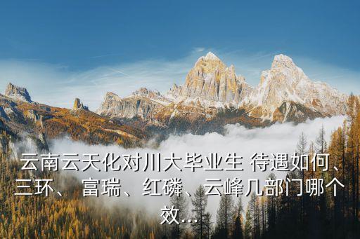 阳谷富瑞农业待遇怎么样,阳谷新富瑞农业采摘园地址