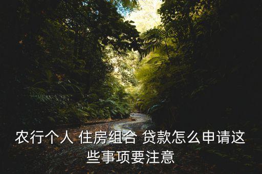 农业银行住房怎么贷款