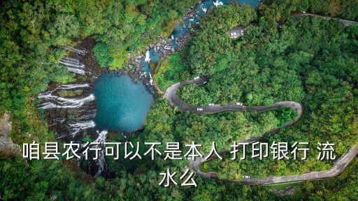 农业银行流水在家怎么打印