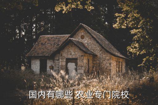 农业农村部有什么大学,农村发展什么农业前景最好