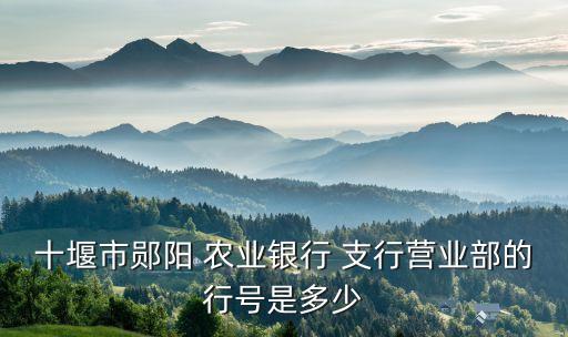 湖北的农业银行是什么支行,宣威市大白菜农业银行是什么支行