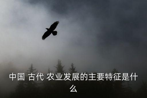 中国 古代 农业发展的主要特征是什么